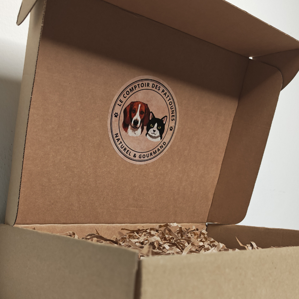 Box Pattoune Chat 🐱