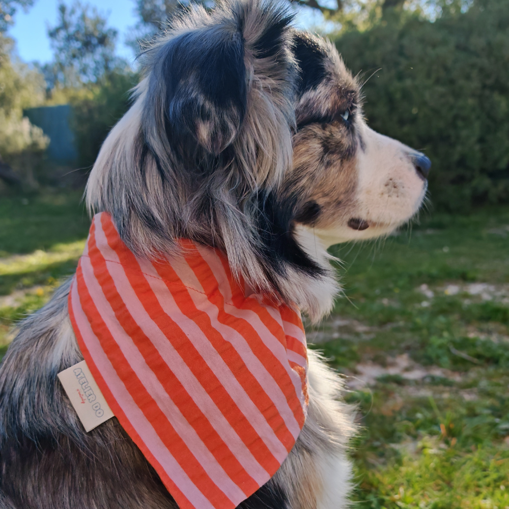 Bandana Rayé Rose et Orange, pour Chien
