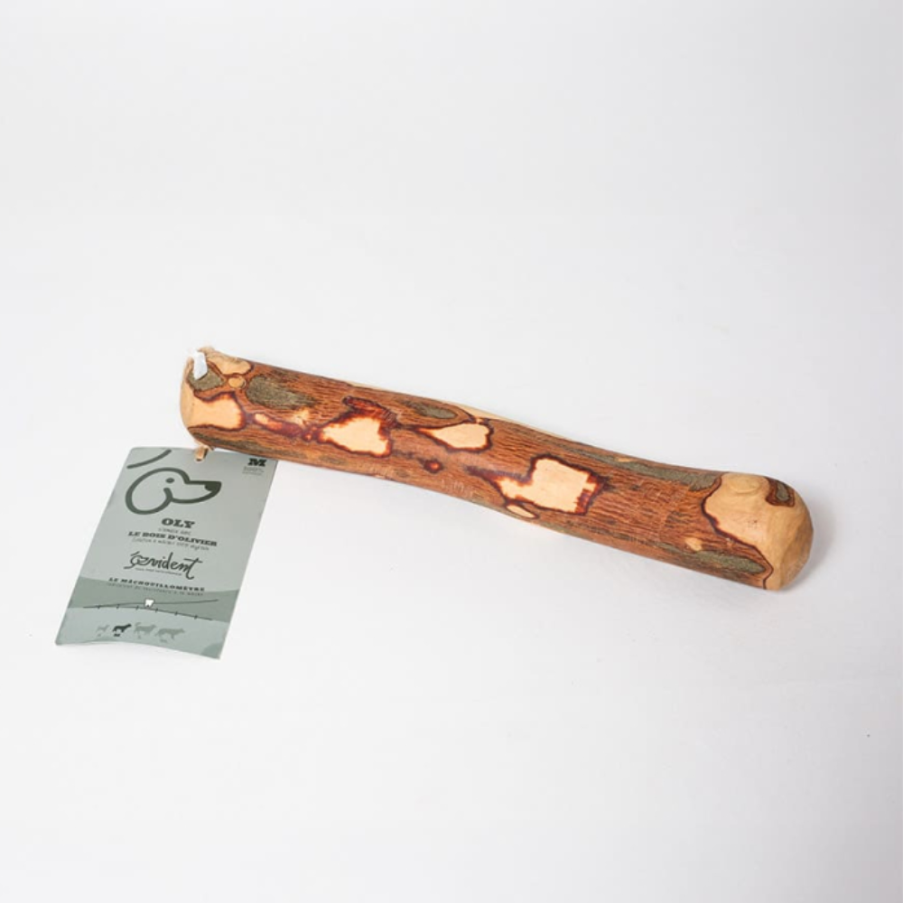 Jouet en bois d’olivier, mastication naturelle pour Chien, Taille M