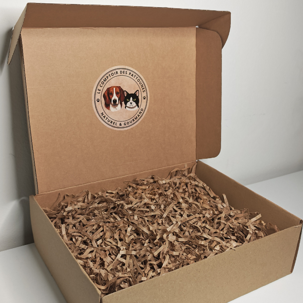 Box Pattoune Chat 🐱