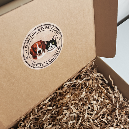 Box Pattoune Chien 🐶