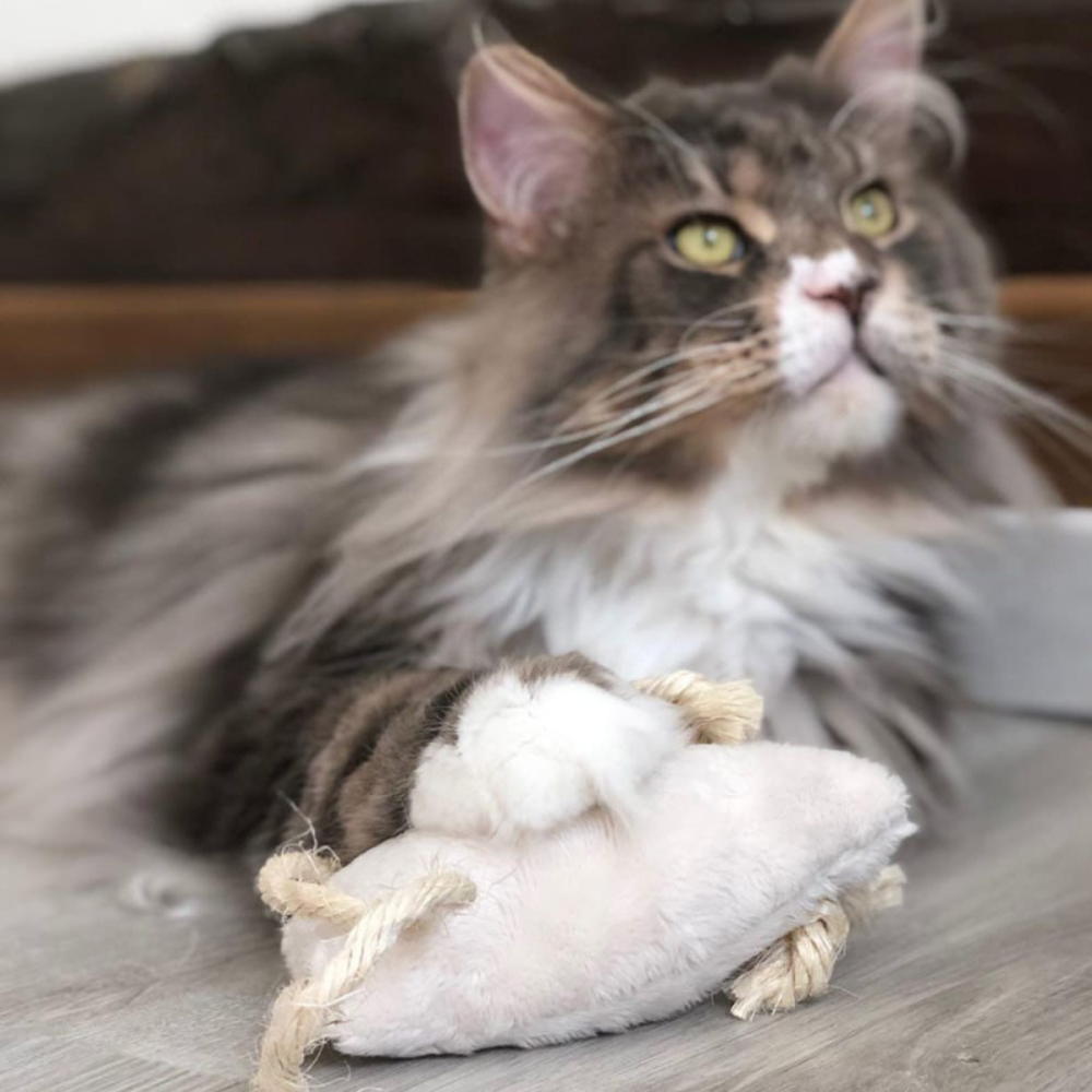 Souris à la valériane, jouet stimulant et apaisant pour Chat