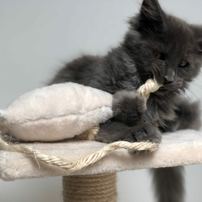 Souris à la valériane, jouet stimulant et apaisant pour Chat