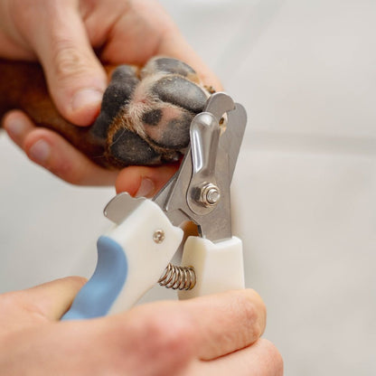 Coupe-griffes pour Chien & Chat