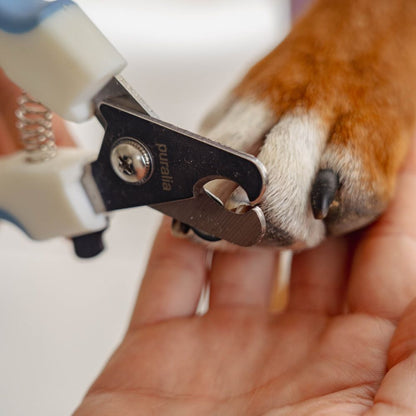 Coupe-griffes pour Chien & Chat