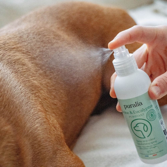 Spray Stop Odeur Chien, 150 ml