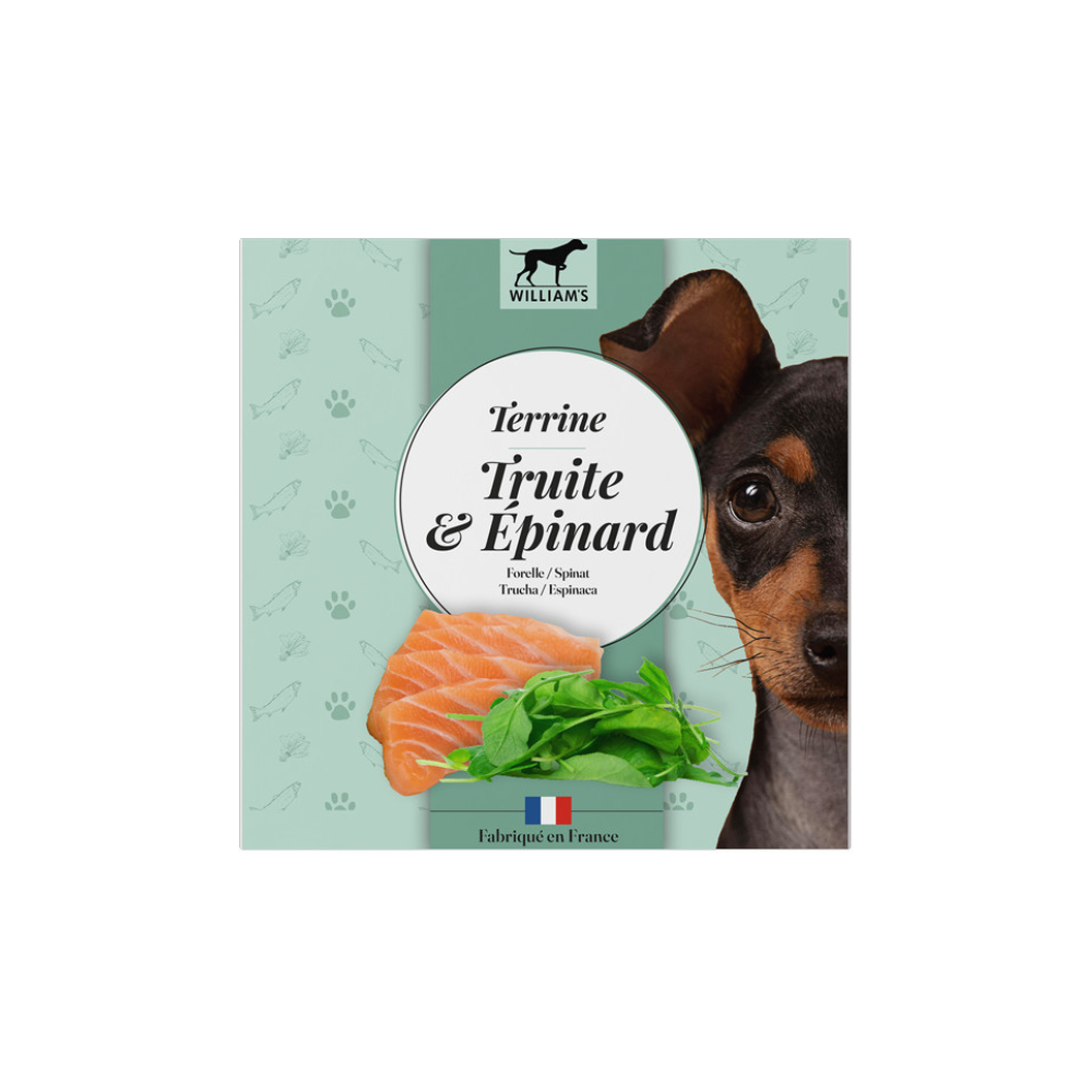 Terrine truite et épinards sans céréales pour Chien, 80 g