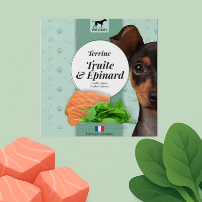 Terrine truite et épinards sans céréales pour Chien, 80 g